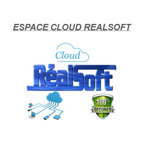 realsoft-cloud